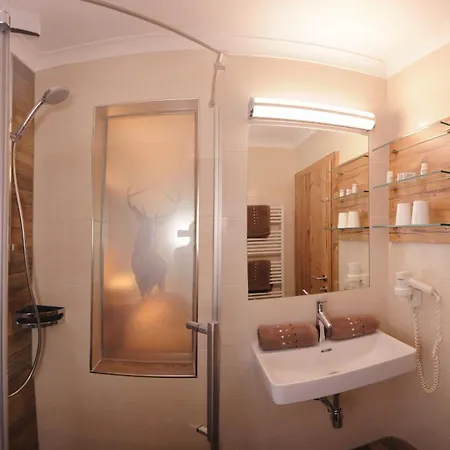 Hotel Birkenhof Saalbach-Hinterglemm